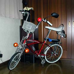 ���[�`�����̃f�R�`����